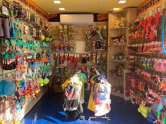 בדרך הביתה עם הגור החדש - יש הרבה דברים שצריך להביא מחנות החיות // צילום: פט בסט, הרצליה